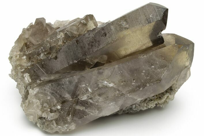 Natural Smoky Quartz Crystal Cluster - Brazil #231296